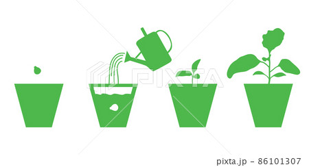 Growing eggplants seedlings in pots set 86101307