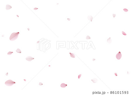 Sakura petals holiday background. Holiday vector Sakura petals holiday background. Holiday vector 86101593