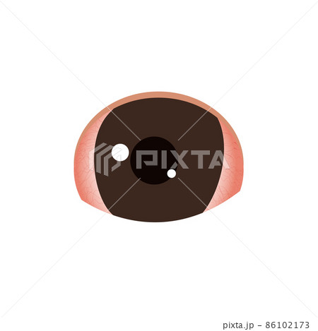 Red eye infected with conjunctivitis medical icon Red eye infected with conjunctivitis medical icon 86102173