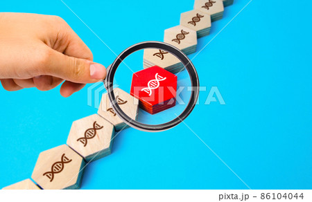 Gene study in a DNA chain. Mutations and genetic diseases. Gene therapy modification of cells to produce a therapeutic effect. Family tree and pedigree. Disease propensity. Paternity confirmation. 86104044
