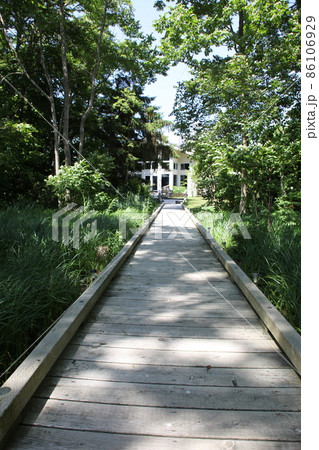 散策路_函館大沼 散策路_函館大沼 86106929