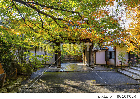 秋の龍安寺(京都)山門 秋の龍安寺(京都)山門 86108024