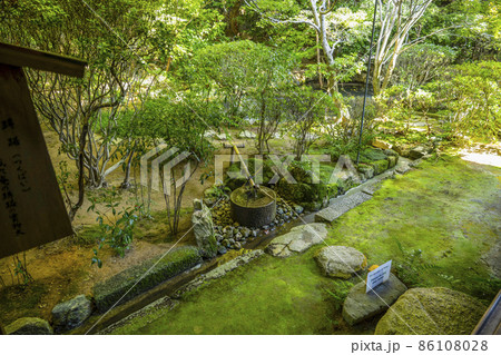 龍安寺の知足の蹲踞（つくばい） 86108028