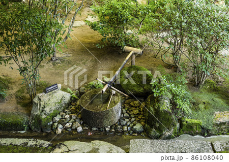 龍安寺の知足の蹲踞（つくばい） 86108040