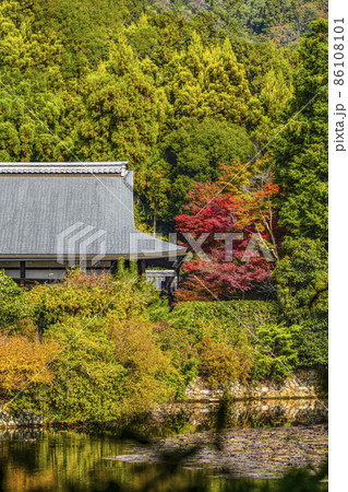 秋の龍安寺（京都）大珠院 86108101
