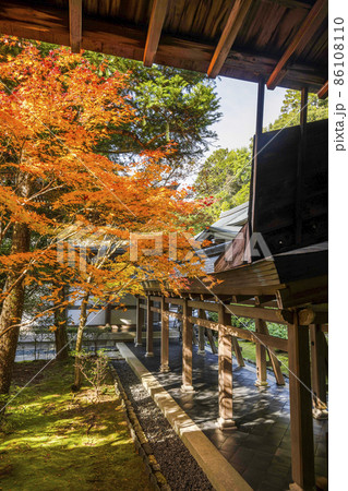 龍安寺(京都)境内の紅葉 龍安寺(京都)境内の紅葉 86108110