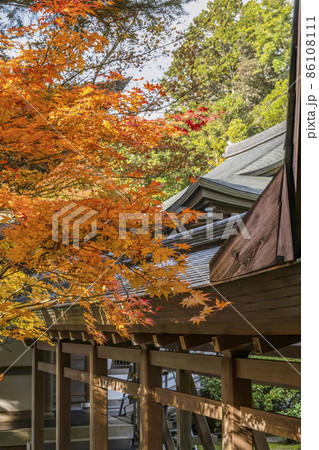 龍安寺（京都）境内の紅葉 86108111