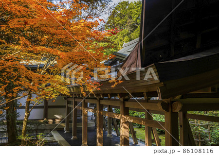 龍安寺(京都)境内の紅葉 龍安寺(京都)境内の紅葉 86108116