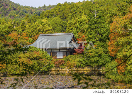 秋の龍安寺（京都）大珠院 86108126