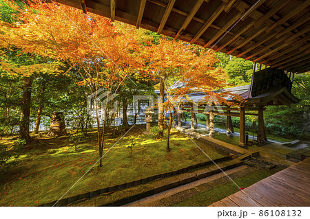 龍安寺(京都)境内の紅葉 龍安寺(京都)境内の紅葉 86108132