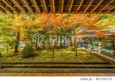 龍安寺（京都）境内の紅葉 86108133