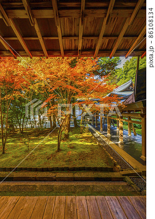 龍安寺(京都)境内の紅葉 龍安寺(京都)境内の紅葉 86108134