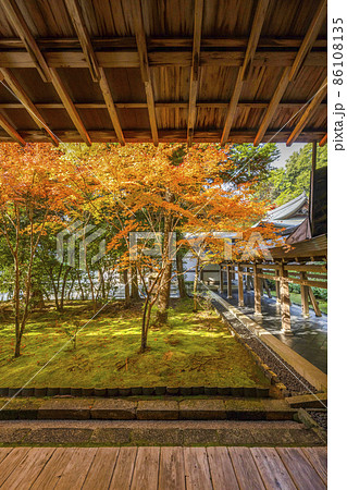 龍安寺（京都）境内の紅葉 86108135