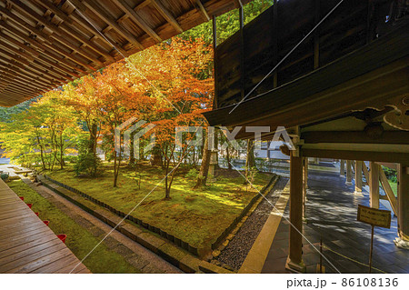 龍安寺(京都)境内の紅葉 龍安寺(京都)境内の紅葉 86108136