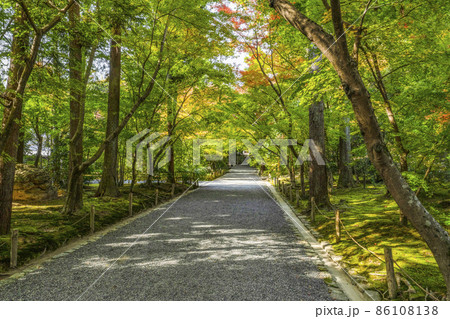龍安寺（京都）境内の紅葉 86108138