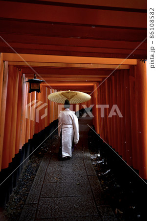 大雪の日の伏見稲荷大社 大雪の日の伏見稲荷大社 86108582