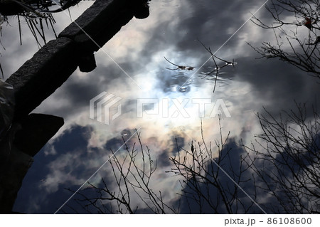 青白く輝く雲と濃い灰色の雲に覆われた空と冬枯れの木を写す水たまりの風景 86108600