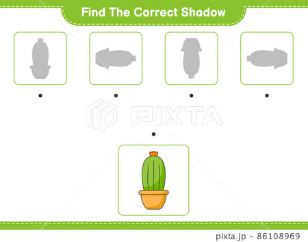 Find the correct shadow. Find and match the correct shadow of Cactus. Educational children game, printable worksheet, vector illustration 86108969