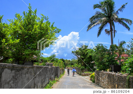 沖縄　のどかな竹富島の風景 86109204