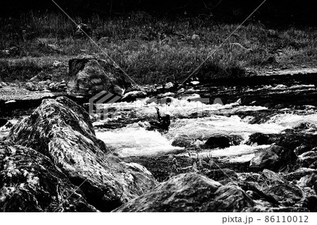 モノクローム 多摩川上流域 御岳渓谷の急流 カヌー練習 ドラフティング スラローム 巨岩の間の激流 モノクローム 多摩川上流域 御岳渓谷の急流 カヌー練習 ドラフティング スラローム 巨岩の間の激流 86110012