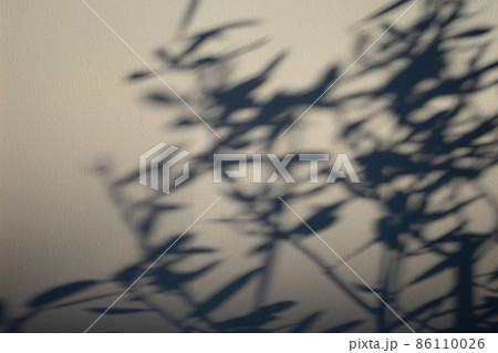 モルタル仕上げのコンクリート壁に映る枝葉の影　暗め 86110026