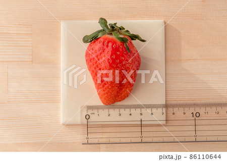 ＊いちご＊*5点 いちごの大きさを定規で測る 超特大サイズ 幅5cmの写真素材