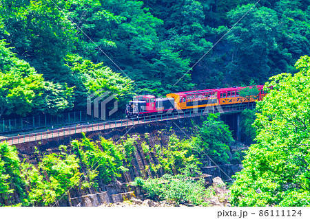 新緑の保津峡とトロッコ列車 新緑の保津峡とトロッコ列車 86111124