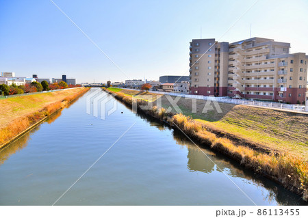 入谷大橋／新芝川より下流／南平大橋方面を望む(東京都足立区)【2021.11】 86113455