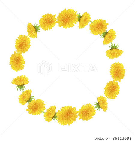 Premium Vector  Bunch of dandelion floral tied with yellow bow