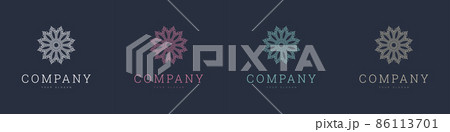 creative mandala vector logo template brand retro 86113701