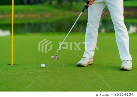 Golfer preparing for a putt Golf ball on the green during golfcourse Golfer preparing for a putt Golf ball on the green during golfcourse 86114104