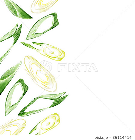 手描き水彩の斜め切りネギイラスト正方形フレーム・左 86114414