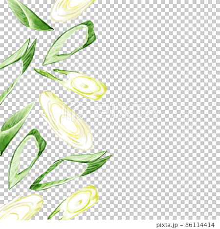 Hand-painted watercolor diagonally cut green onion illustration square frame, left 86114414