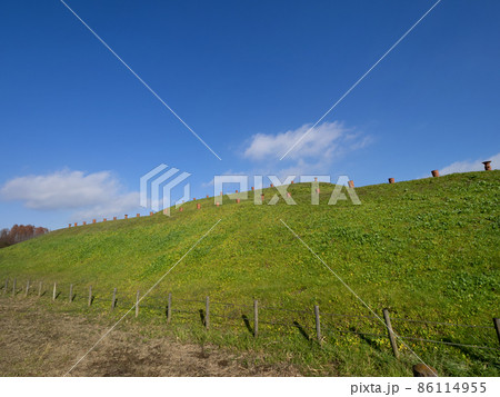将軍山古墳 埼玉県行田市 将軍山古墳 埼玉県行田市 86114955
