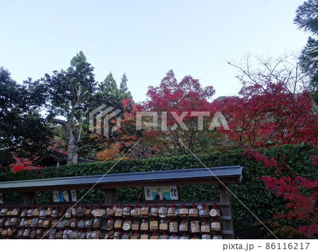 京都の紅葉をめぐる 一休寺編 京都の紅葉をめぐる 一休寺編 86116217