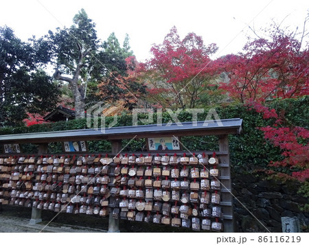 京都の紅葉をめぐる　一休寺編 86116219