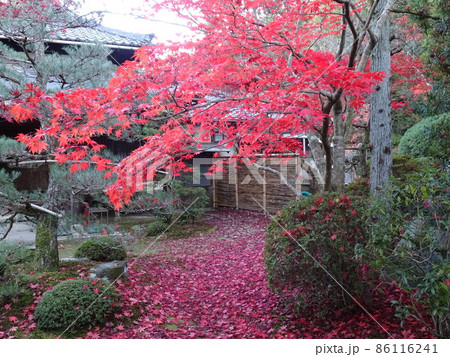 京都の紅葉をめぐる　一休寺編 86116241