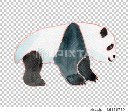 横向き子どものパンダの水彩イラスト 86116750