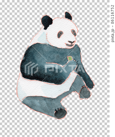 笹を食べるパンダの水彩イラスト 86116752