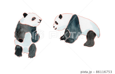 ふたごの子どものパンダの水彩イラスト 86116753