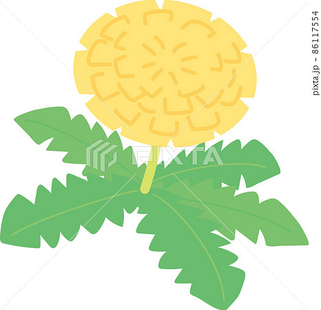 4月のイメージイラスト_タンポポ 86117554