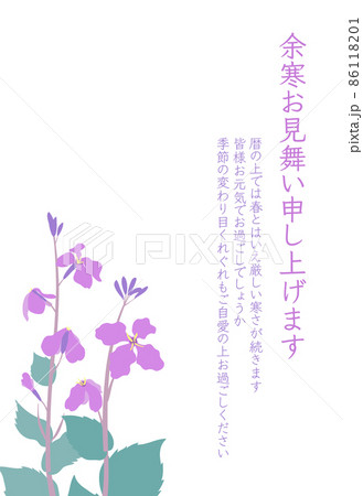 ムラサキハナナ(紫花菜)ショカツサイ(諸葛菜)花大根の余寒見舞いはがき 縦型 ムラサキハナナ(紫花菜)ショカツサイ(諸葛菜)花大根の余寒見舞いはがき 縦型 86118201