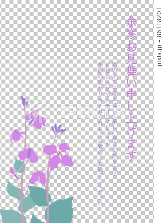 ムラサキハナナ(紫花菜)ショカツサイ(諸葛菜)花大根の余寒見舞いはがき 縦型 ムラサキハナナ(紫花菜)ショカツサイ(諸葛菜)花大根の余寒見舞いはがき 縦型 86118201