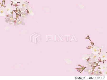 桜の花びら 桜の枝 ベクターデータ 桜の花びら 桜の枝 ベクターデータ 86118439