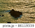 磯の夕暮れ 86119339