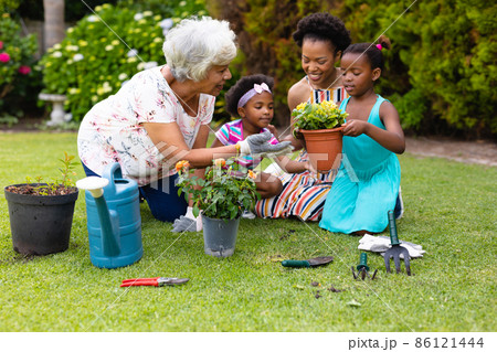 African american senior woman teaching gardening to grandchildren and daughter at backyard African american senior woman teaching gardening to grandchildren and daughter at backyard 86121444
