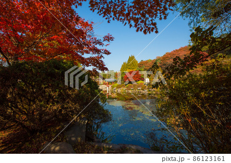 顕忠祠 ヒョンチュンか 紅葉 86123161