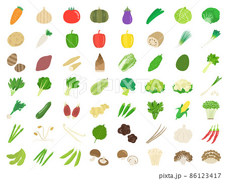 たくさんの種類の野菜のイラストセット 86123417
