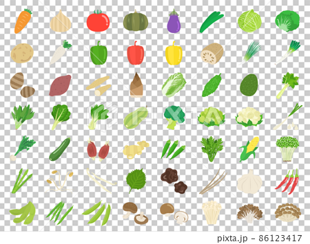 たくさんの種類の野菜のイラストセット 86123417