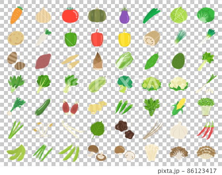 たくさんの種類の野菜のイラストセット たくさんの種類の野菜のイラストセット 86123417